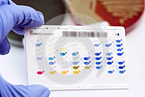 Reagent Strip for biochem and drug sensitivity test for identifield pathogen