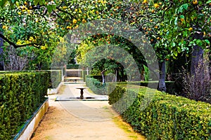 Real Alcazar Gardens in Seville Spain