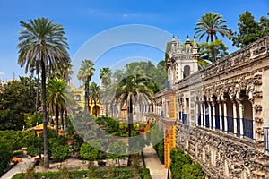 Real Alcazar Gardens in Seville Spain photo