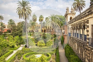 Real Alcazar Gardens in Seville, Spain photo