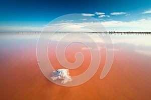 Real amazing pink color salt lake and deep blue sky, minimalistic landscape