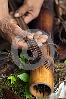 Real Amazonian Darts