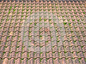 Real ancient mossy tiled roof