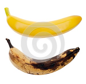 Real and artificial bananas
