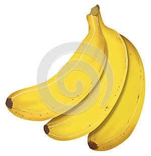 Skutečný banány 