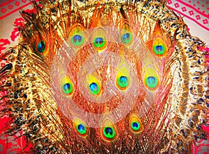 Real beauty of nature . Feathers of peacock