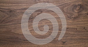 Real black walnut wood texture with natural grain photo