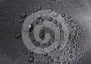 Real Black Water Drops Texture