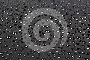 Real Black Water Drops Texture