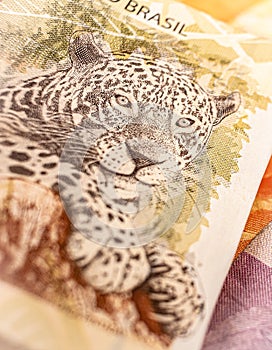 Real - Brazilian Currency. Money, Dinheiro, Brasil, Reais.
