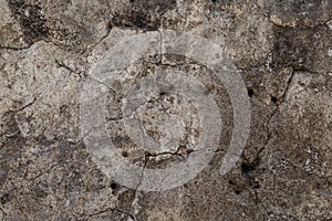 Real concrete texture background