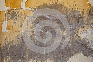 Real concrete texture background