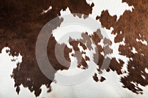 Real cow skin texture