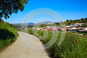 Real del Jara by Via de la Plata way in Spain photo