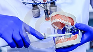 Real dentist with blue gloves showing on a jaw model how to clean the teeth with tooth brush properly and right. Doctor hands