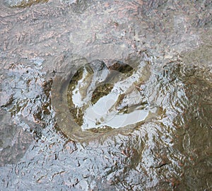 Real dinosaur footprint , Thailand. photo