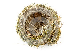 Real empty bird nest