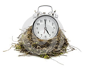 Real empty bird nest with clock