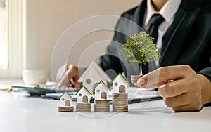 Real estate agent holding the coin with growing tree and house model on the pile of home loan concept coins.