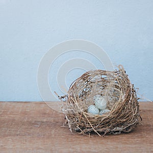 Little bird`s egg in birds nest isolated on a wooden floor