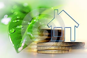 Real estate symbol on the background of money and a green plant .