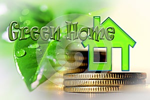 Real estate symbol on the background of money and a green plant .