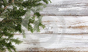 Real fir branch on white rustic wood background for the Christmas or New Year holiday