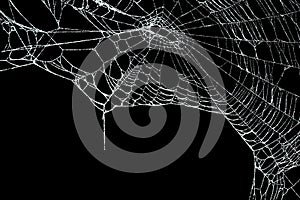 Real frost covered spider web