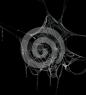 Real frost covered spider web