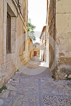 Real FÃÂ¡brica de PaÃÂ±os. It was founded in 1750 by King Ferdinand VI. Brihuega, Spain photo