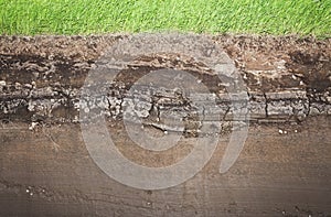 Real Grass and several underground soil layers photo