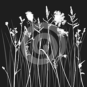 Real grass silhouette