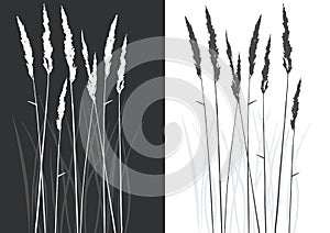 Real grass silhouette