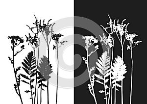 Real grass silhouette