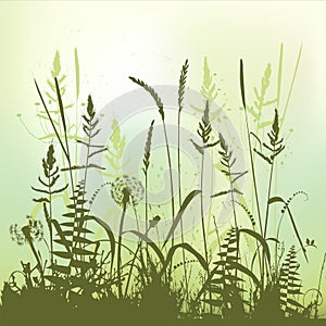 Real grass silhouette, meadow during summertime