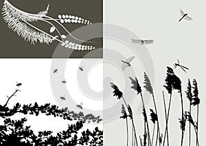 Real grass silhouette - vector set