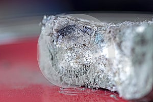 Real gray-blue mold on bread