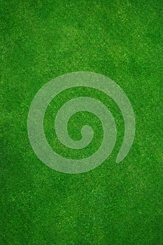 Skutečný zelená tráva 