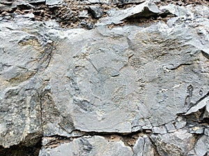 Real Grunge Rock Stone Texture. A real natural stone texture in pale blue, grey and brown ideal as a background, layer.