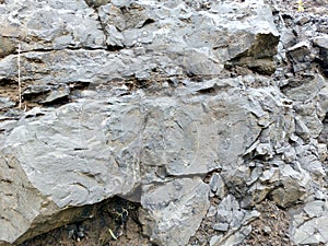 Real Grunge Rock Stone Texture. A real natural stone texture in pale blue, grey and brown ideal as a background, layer.
