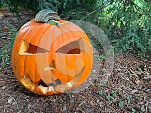A real halloween pumpkin jack o lantern