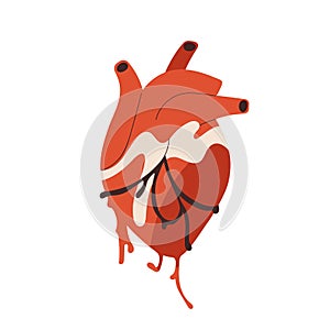 Real heart, realistic internal human organ with blood, aorta, artery. Creepy cardiovascular anatomy. Anatomical flat photo