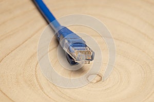 Real Macro of Broadband cable plug