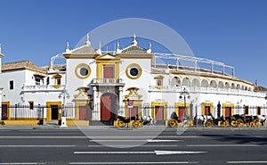 Real Maestranza de Caballeria de Sevilla, in Seville, Spain