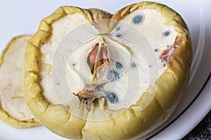 Real mold spots on half apple