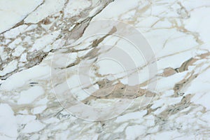 Real natural ` Calacatta Vagli ` texture pattern. photo