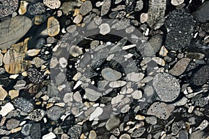 Real natural ` GRANITE Marinace Black Gold ` texture pattern.