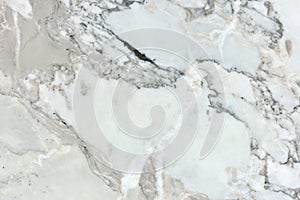 Real natural Marble Arabescato Vagli texture pattern. Background