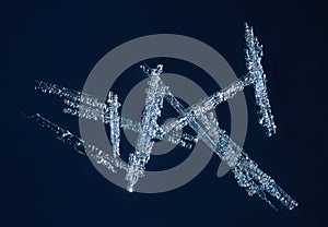 Real needle snowflake at high magnification. Macro photo of small snow rimmed crystal, snowflake glowing on dark blue