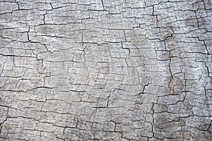 Hardwood cracks textured background for design and all inspirations creative photo